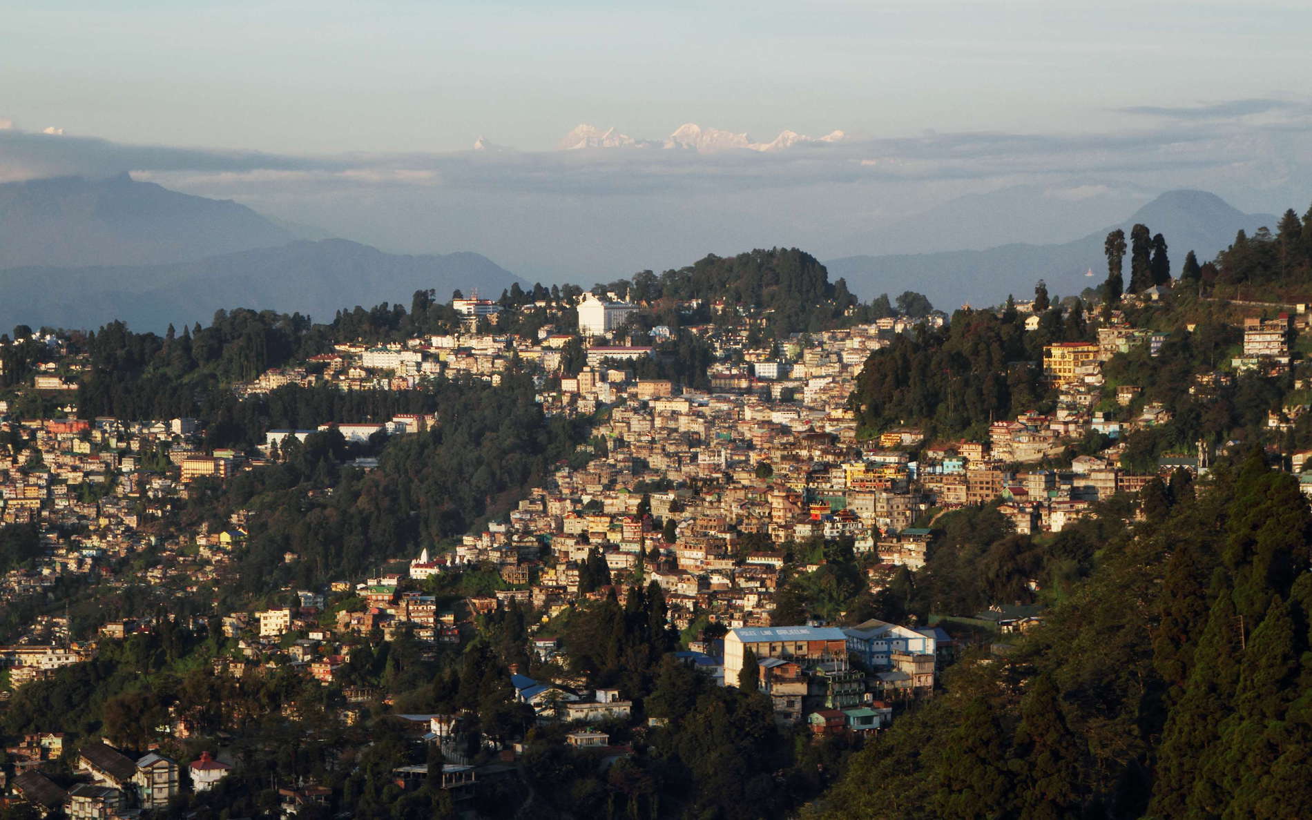 Darjeeling and Shudu Tsenpa