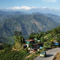 Darjeeling  |  Rural landscape with Kangchenjunga