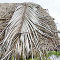 Palatiyawa  |  Coconut roof