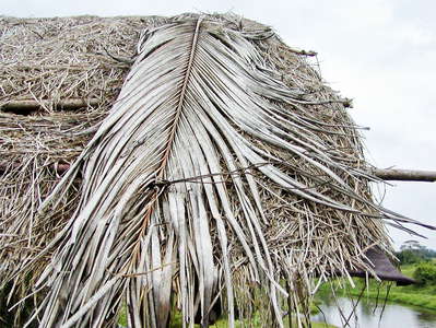 Palatiyawa  |  Coconut roof