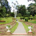 Peradeniya Royal Botanical Gardens