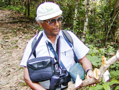 Sinharaja Forest Reserve  |  Scientist