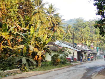 Sabaragamuwa Province  |  Village scene