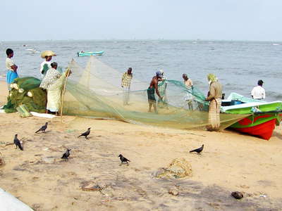 Negombo  |  Fisheries