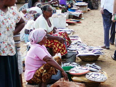 Negombo  |  Fish market