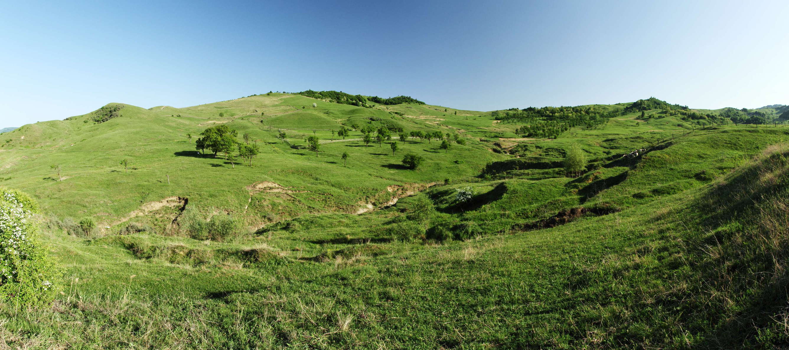 Mușcel  |  Hillscape with landslides