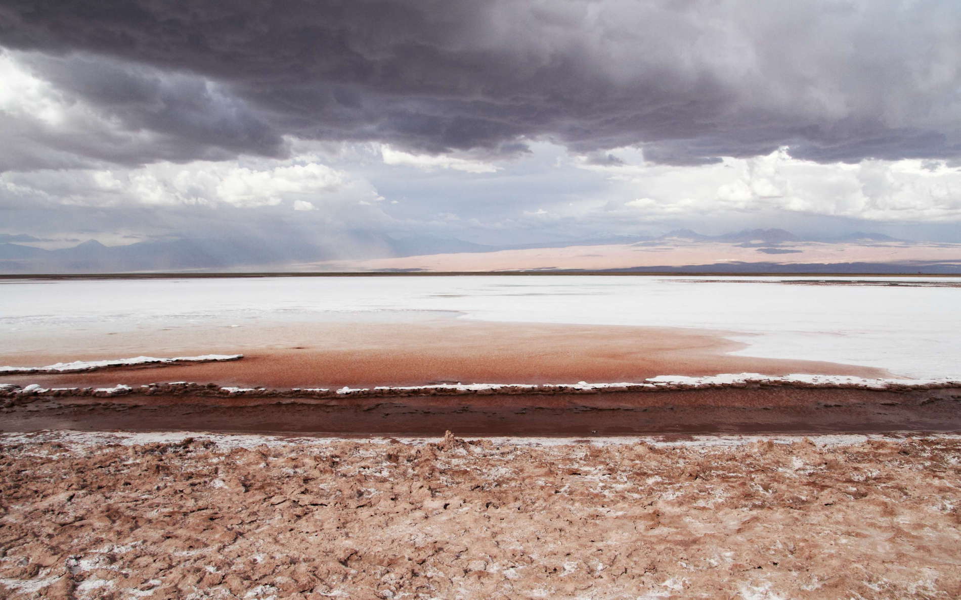 Salar de Atacama | Laguna Tebinquinche
