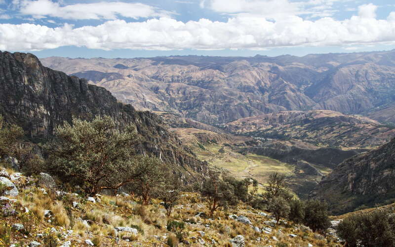 Quebrada Hualcán with Polylepis forest
