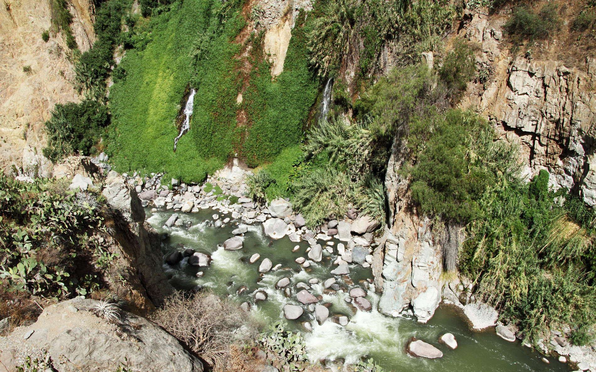 Cañón del Colca | Río Colca