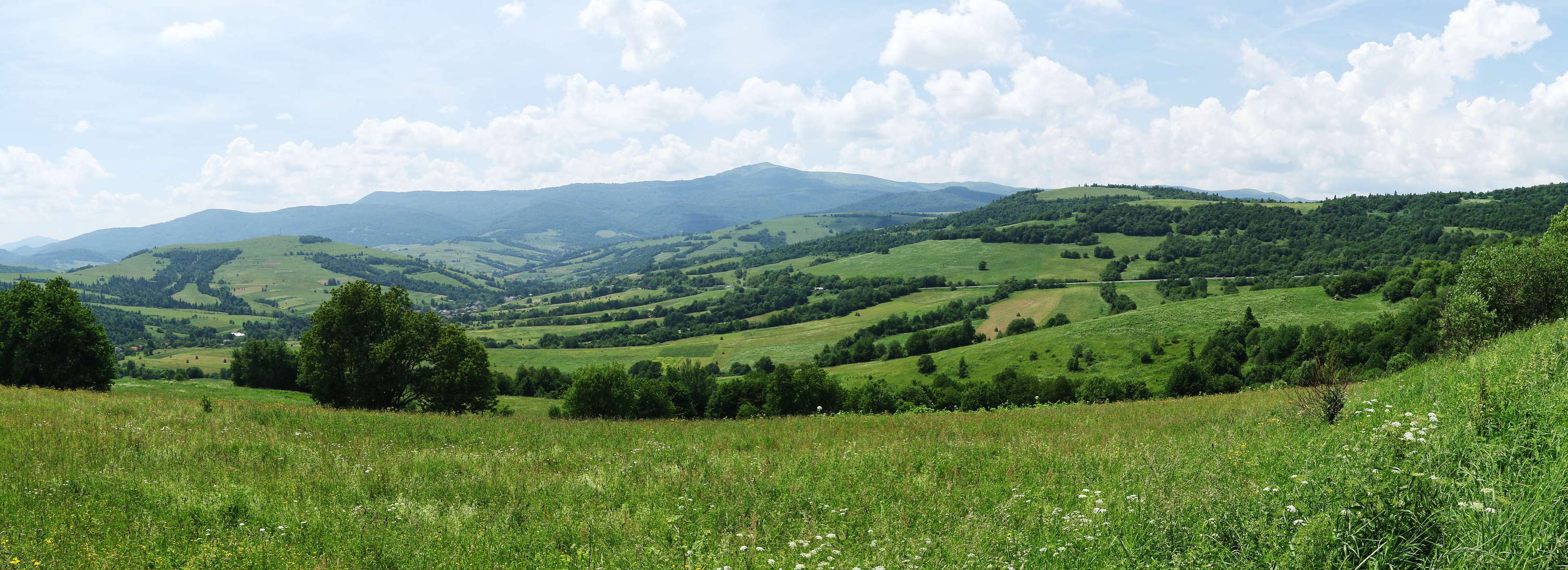 Carpathian Mountains panorama