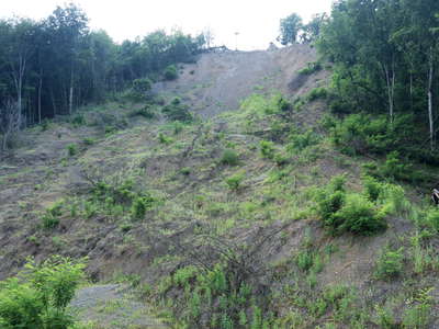 Kolchyno | Landslide