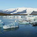 Jökulsárlón with icebergs and Öræfajökull