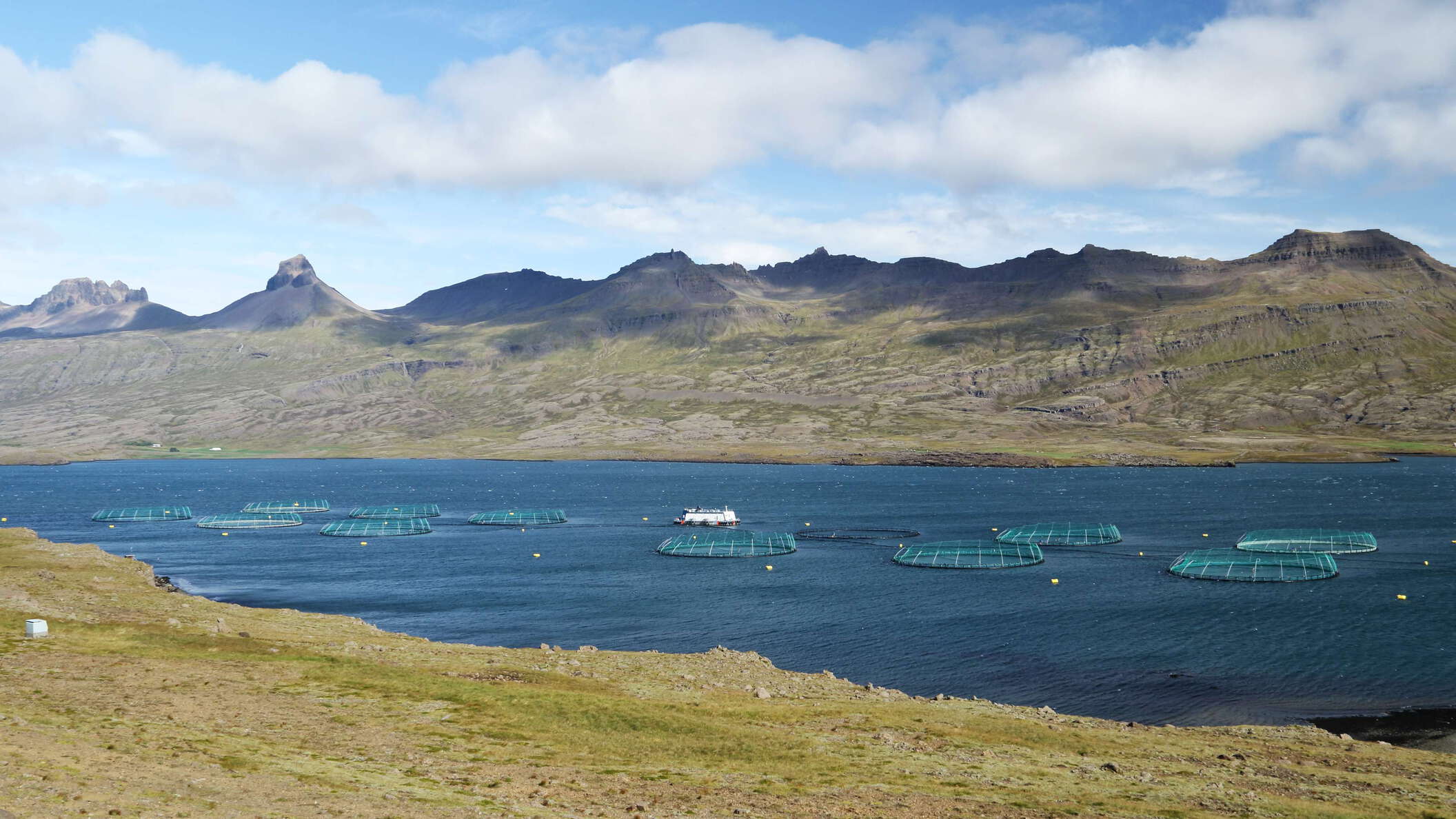 Berufjörður with fish farm