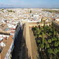Córdoba | Historic centre with Mezquita-Catedral
