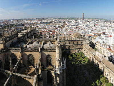 Sevilla | Cathedral and historic centre