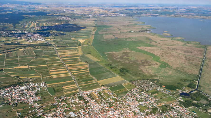Neusiedler See with reed belt
