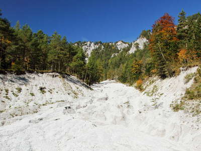 Johnsbach Valley | Debris flow gully