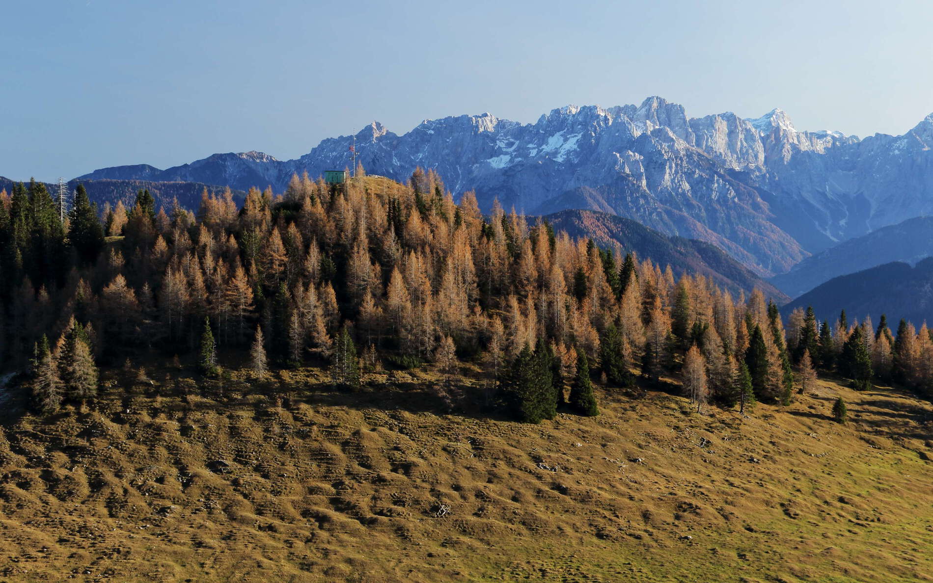 Dobratsch | Humpback meadow and mountain forest
