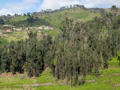 Ribeira da Vaca | Rural landscape