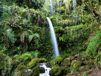 Levada do Caldeirão Verde | Waterfall