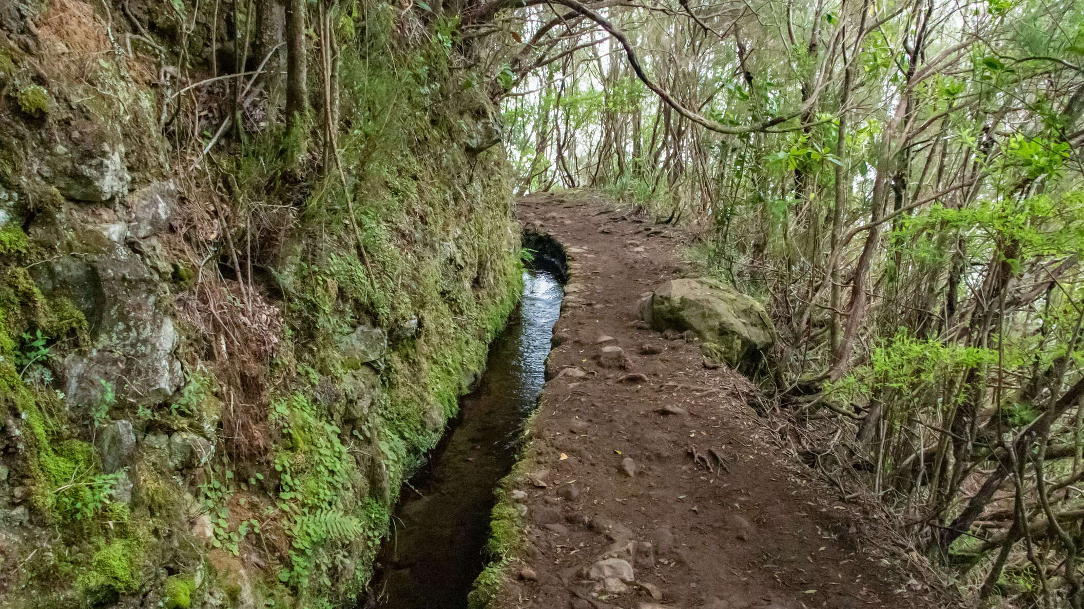 Levada do Caldeirão Verde with hiking trail