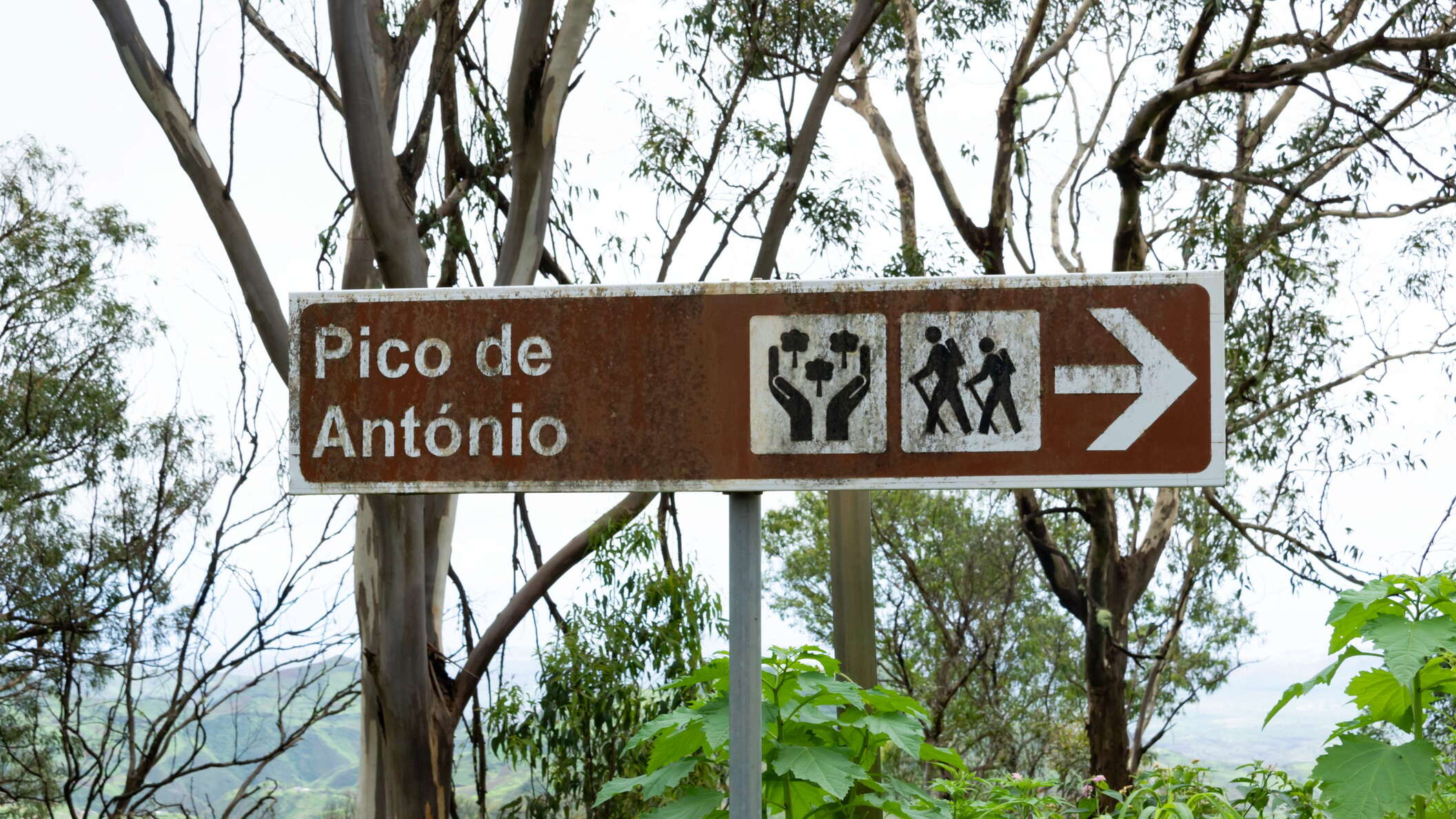 Santiago | The way to Pico d'Antónia