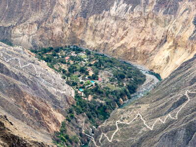 Cañón del Colca with Oasis de Sangalle