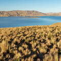 Laguna Lagunillas and puna grassland