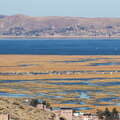 Lago Titicaca | Bahía de Puno with reed belt