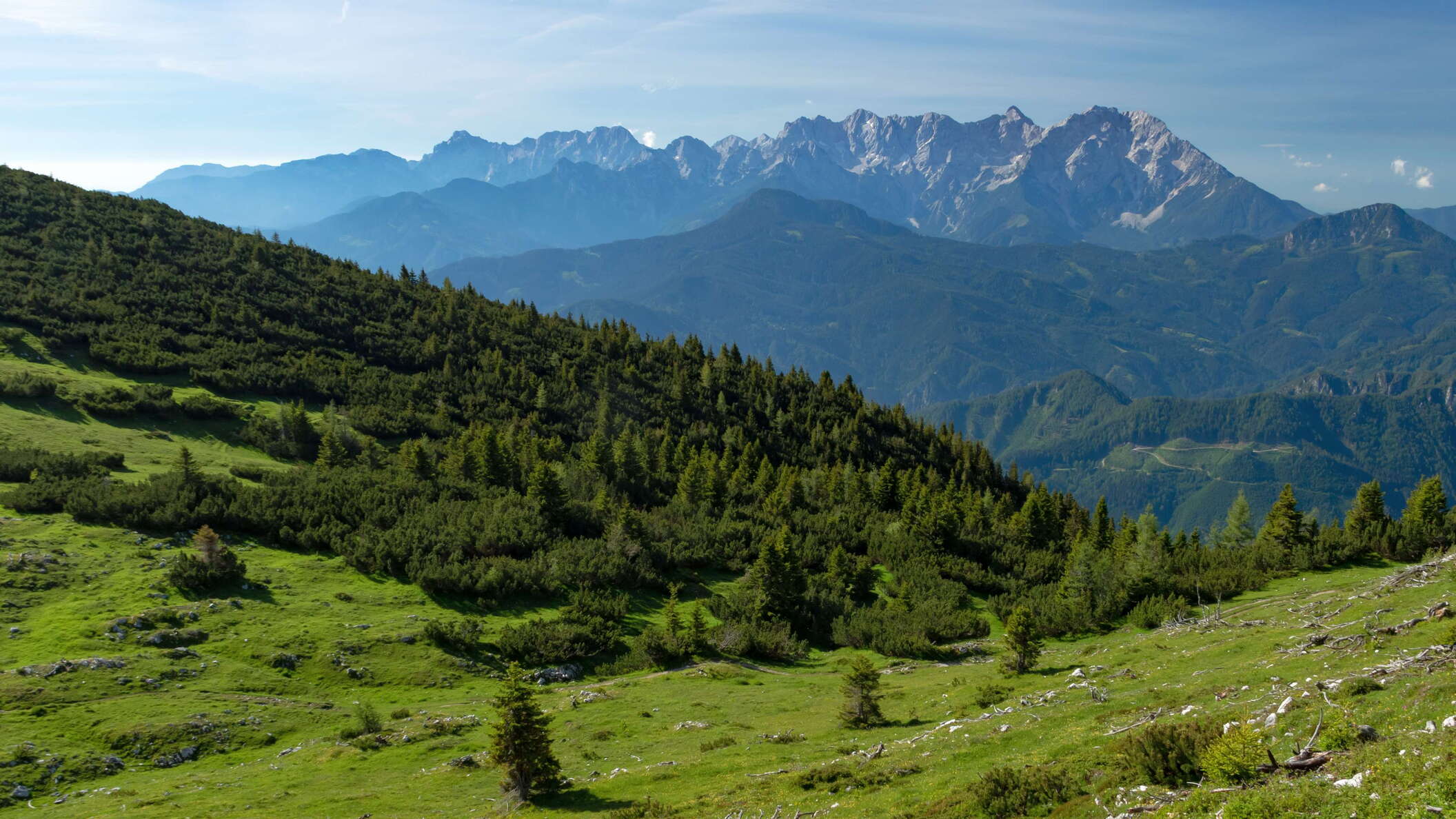Hochobir | Treeline area and Kamnik Alps