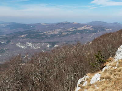 Istria | Mountain landscape with beech forest
