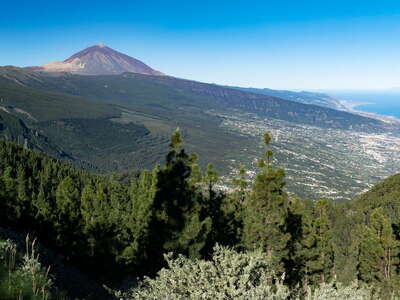 Valle de La Orotava and Pico del Teide