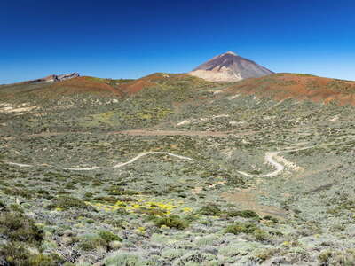 Pico del Teide | Panoramic view
