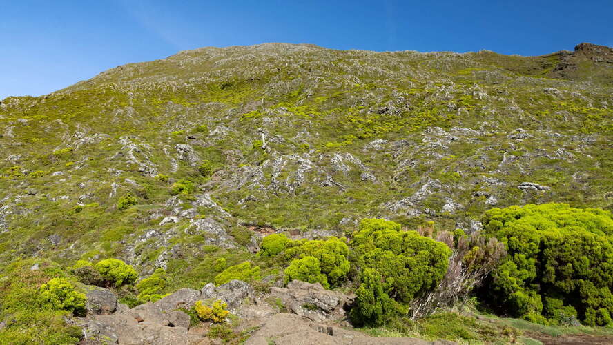 Montanha do Pico | Western slope with shrubland