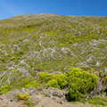 Montanha do Pico | Western slope with shrubland