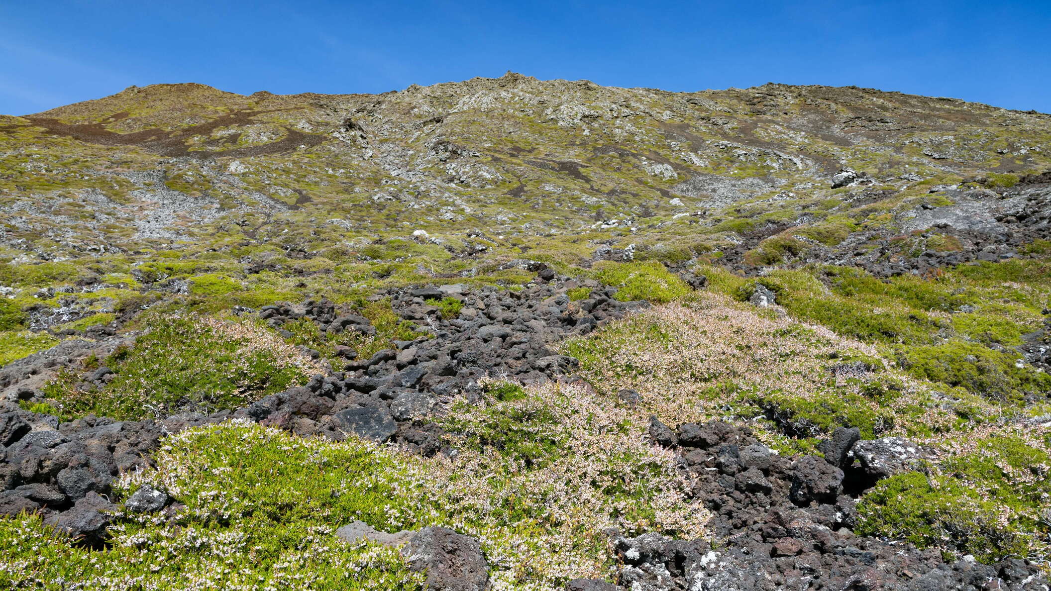 Montanha do Pico | Western slope with heathland