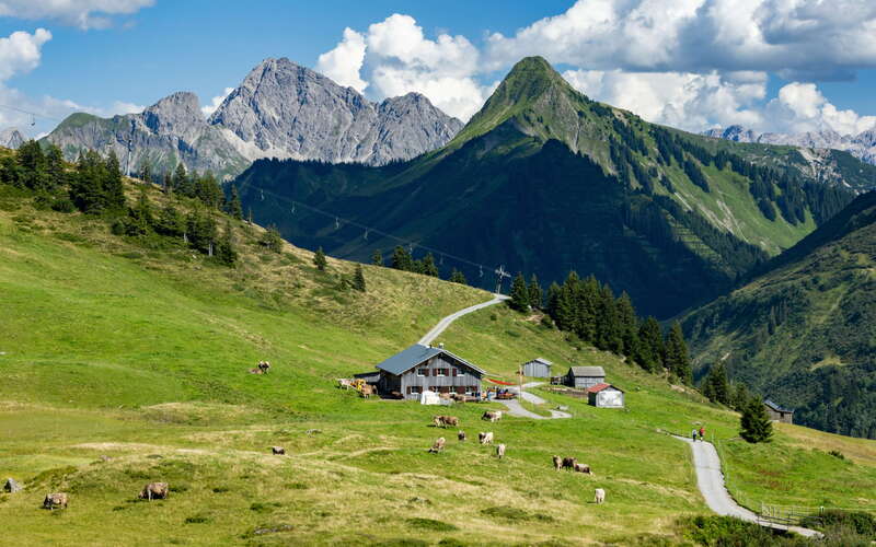 Damüls | Alpe Oberdamüls and Lechquellengebirge