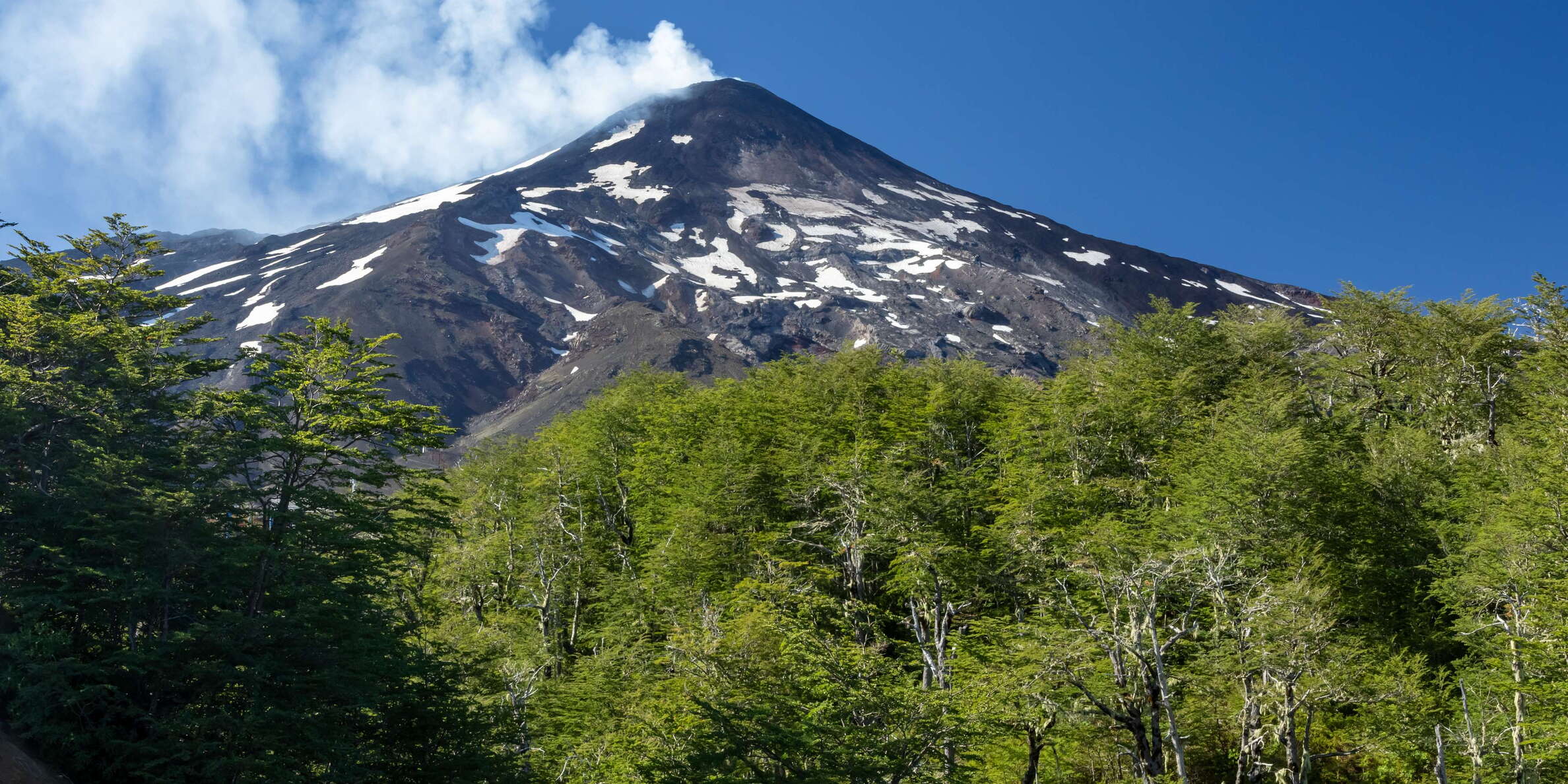 Centro de Ski Pillán | Lenga forest and Volcán Villarrica