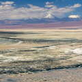 Salar de Atacama | Laguna de Chaxa