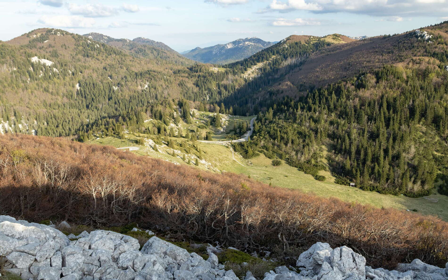 Sjeverni Velebit with Krummholz beech forest