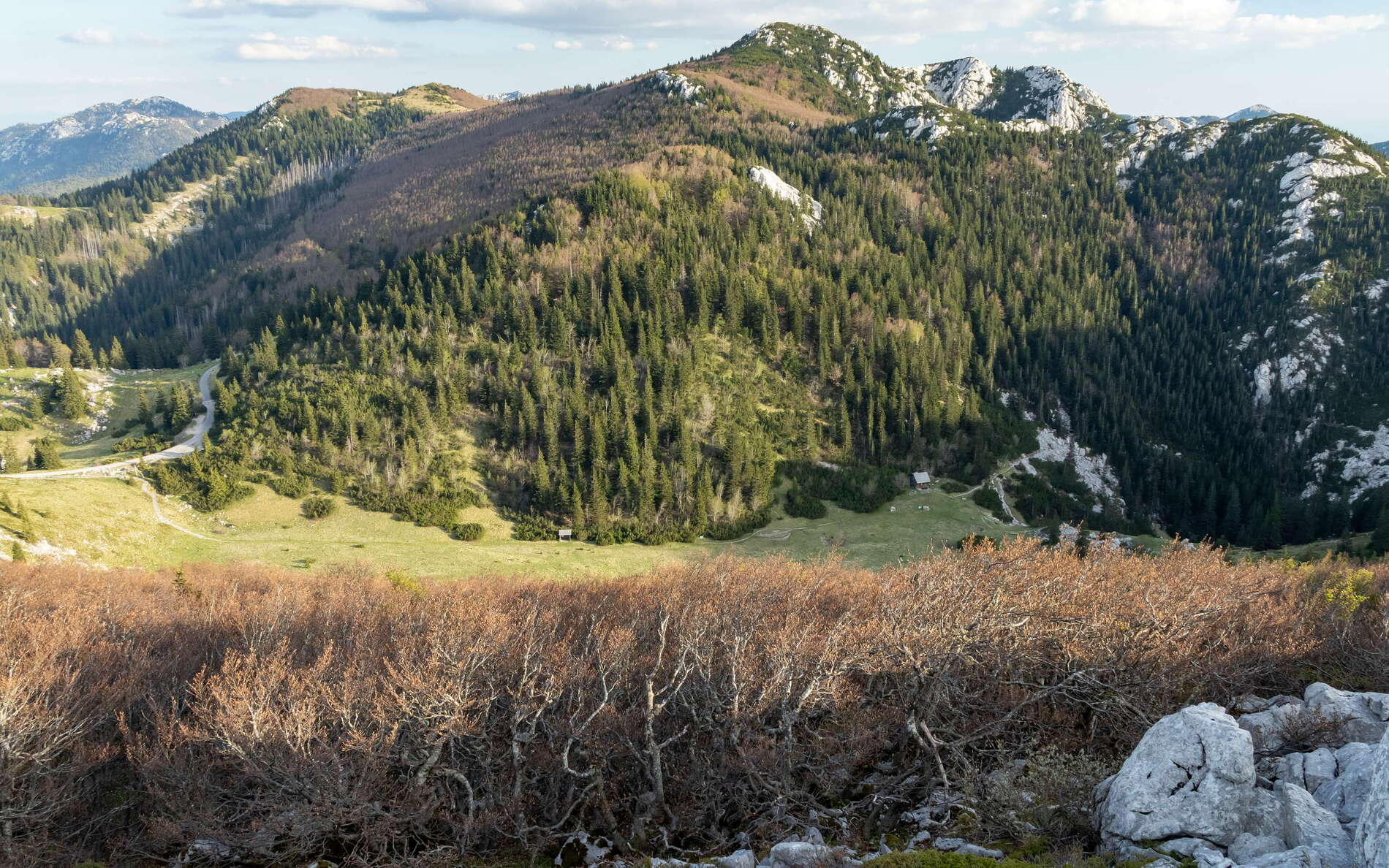 Sjeverni Velebit with krummholz beech forest