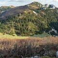 Sjeverni Velebit with krummholz beech forest