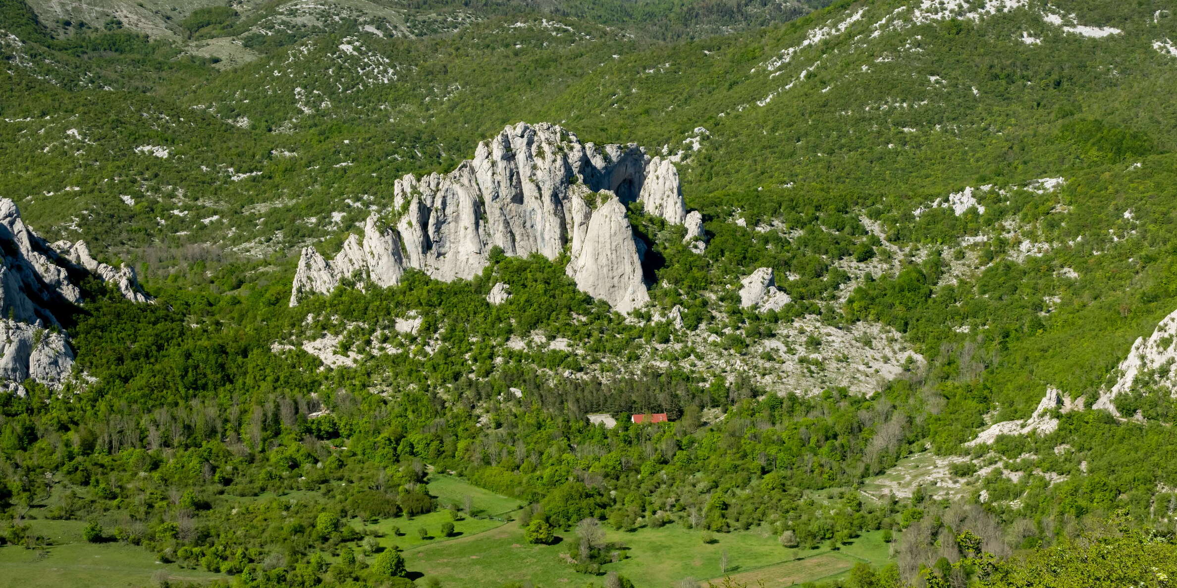 Ravni dabar with Čelina