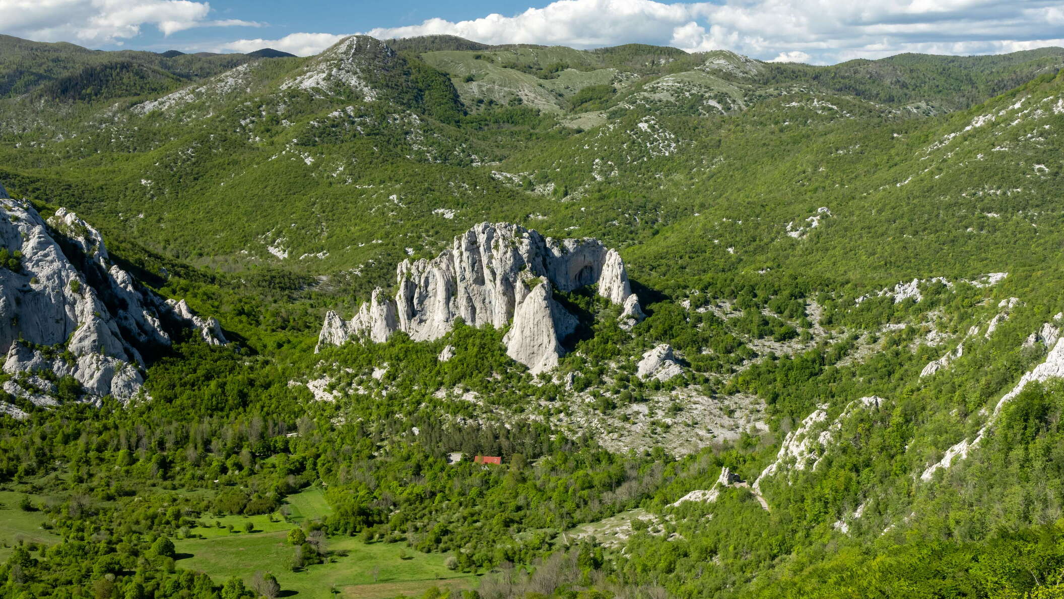 Ravni dabar with Čelina