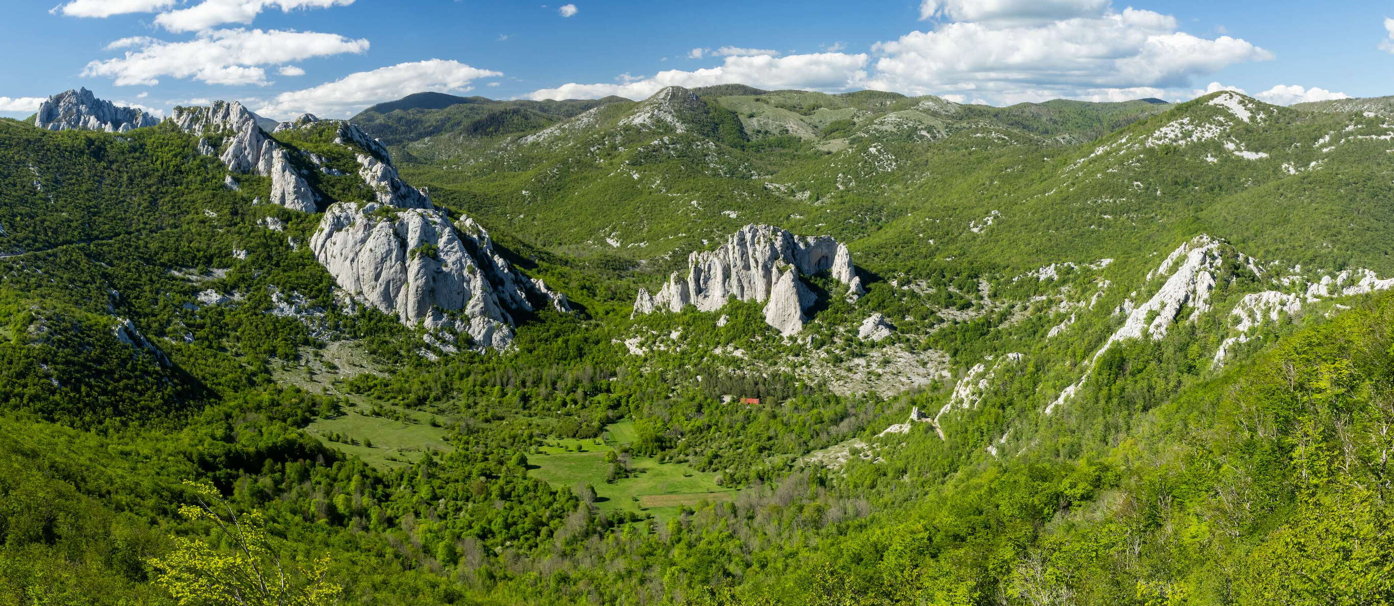 Ravni dabar with Čelina