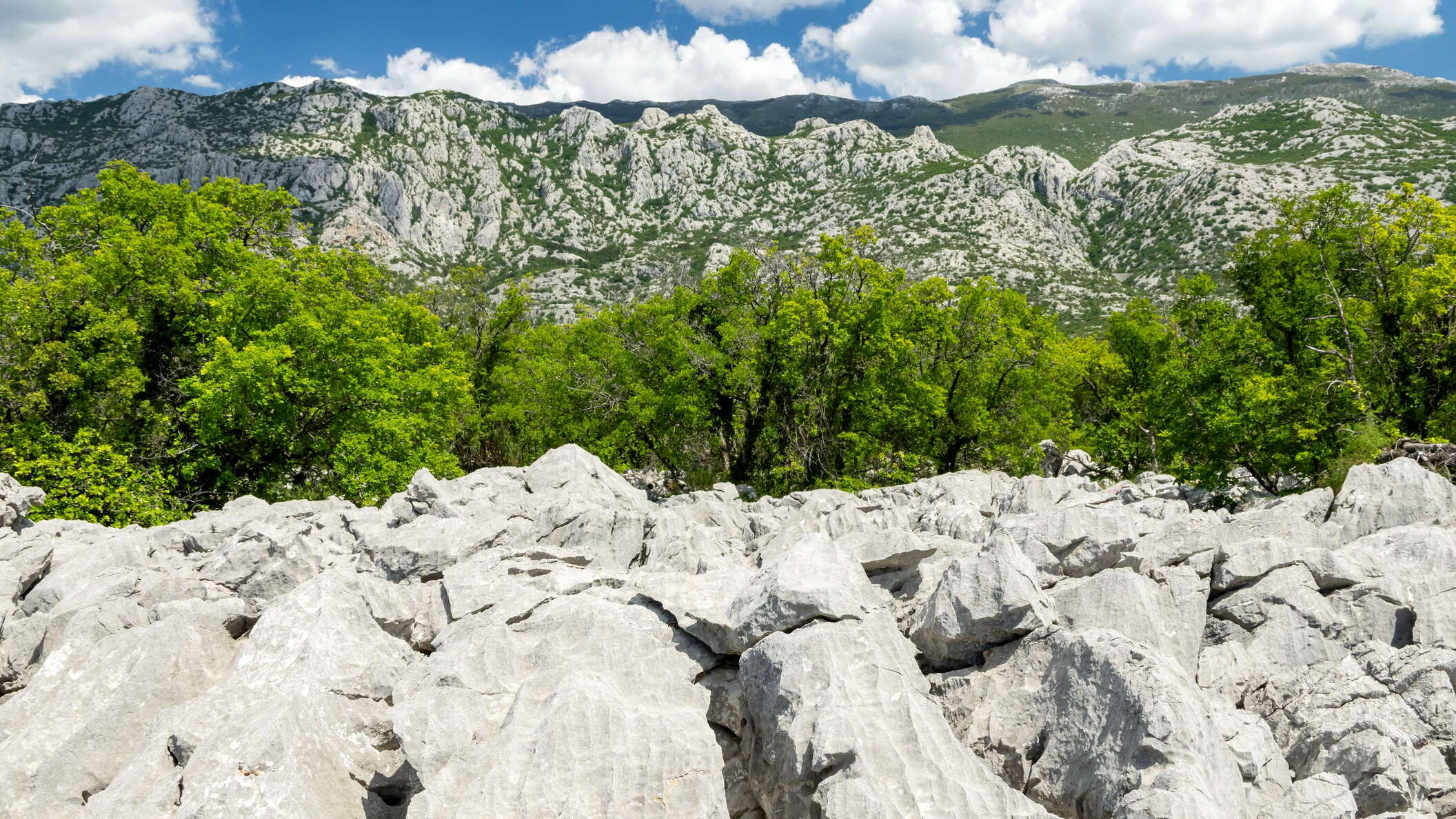 Zavratnica | Karst landscape and Velebit