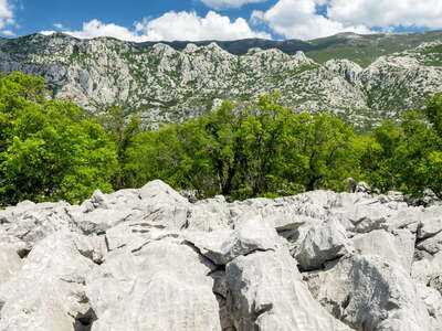 Zavratnica | Karst landscape and Velebit