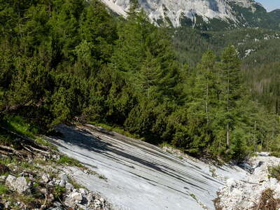 Wildalpen | Sliding surface of rock avalanche