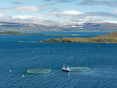 Ísafjarðardjúp | Seyðisfjörður with fish farm