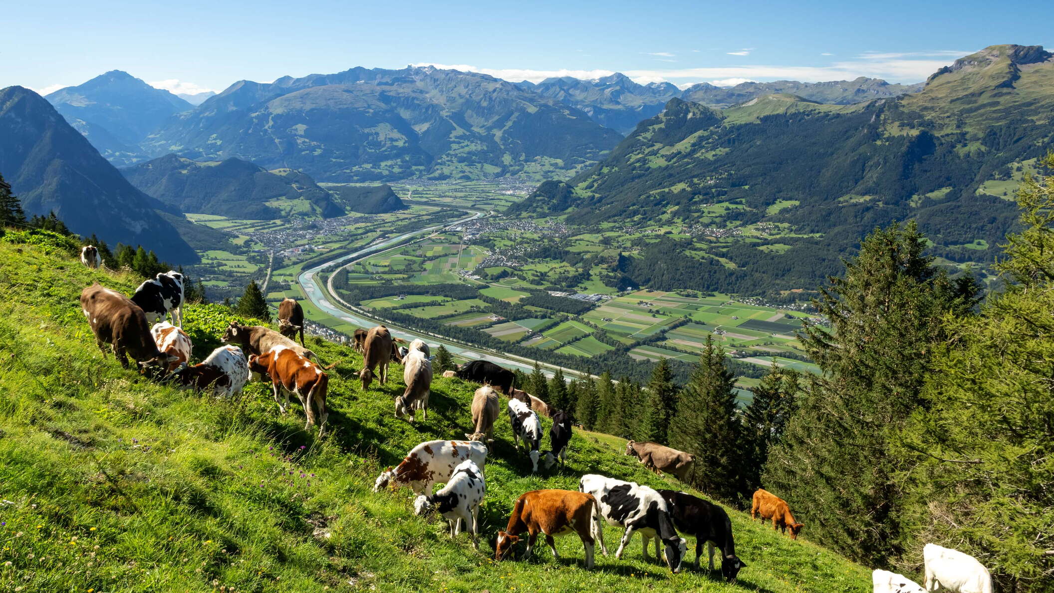 Liechtenstein | Bargälla and Rheintal